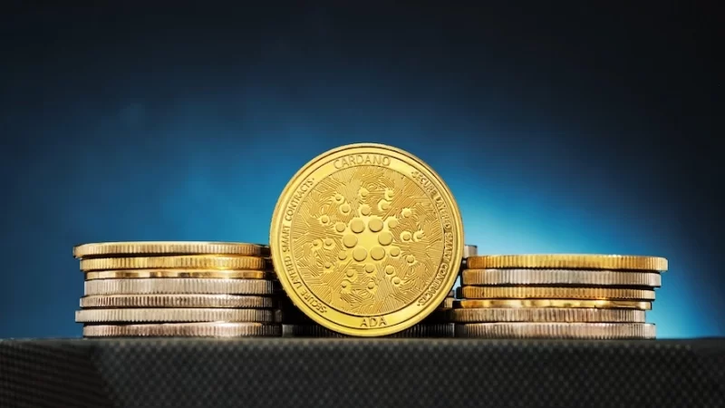 Cardano millionaire wallets hold record ADA since December 2017