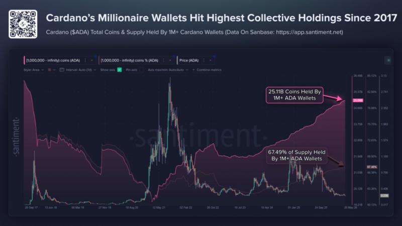 Cardano millionaire wallets hold record ADA since December 2017