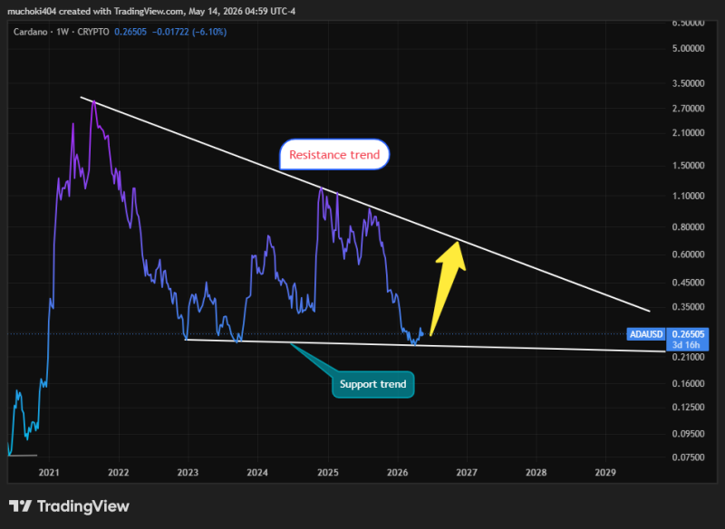 Cardano whale holdings surge to highest level since 2020