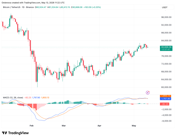 Previous Bitcoin’s Market Top Was Hidden Behind Sophisticated Whale Distribution — Analyst Explained