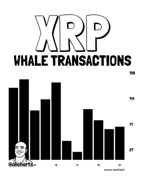 XRP price prediction as whale activity plunges 60% in 9 days