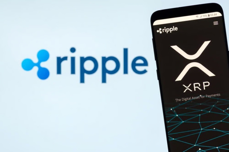 XRP price prediction as whale activity plunges 60% in 9 days