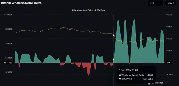Analyzing Bitcoin’s 15% June decline despite mln in whale buys