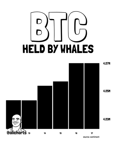 Bitcoin price prediction as whales scoop 30,000 BTC in a week 