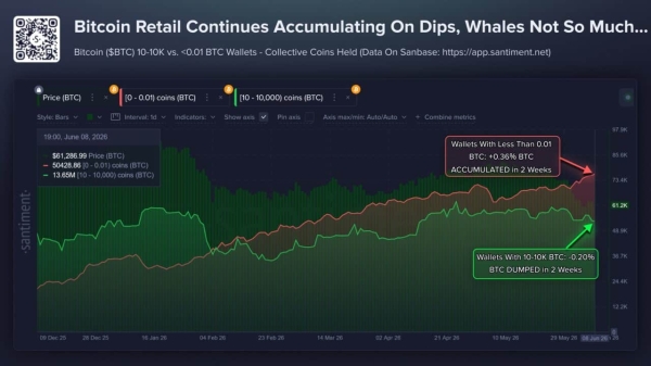 Bitcoin: What .4B in whale losses means for BTC’s shifting balance