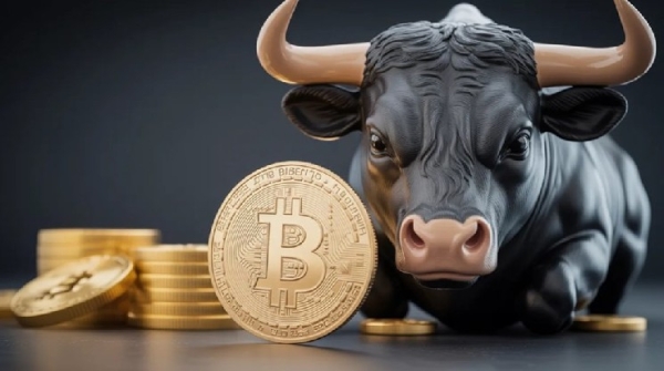 Bitwise CIO Hougan’s Bull Show Statement: The New Crypto Bull Will Be Slower and Less Volatile!