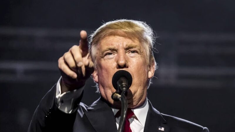 Trump’s first 500 days in office erase nearly 46,000 Bitcoin millionaires