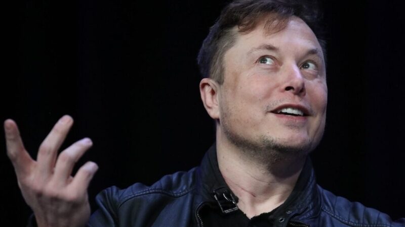 We asked ChatGPT to build an Elon Musk-inspired investment portfolio