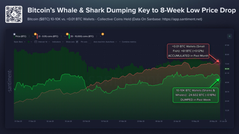 Will Bitcoin price crash below ,000 in June?