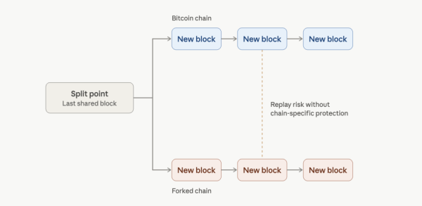 Bitcoin Chain Splits Explained: Why Every BTC Holder Gets a New 1:1 Asset