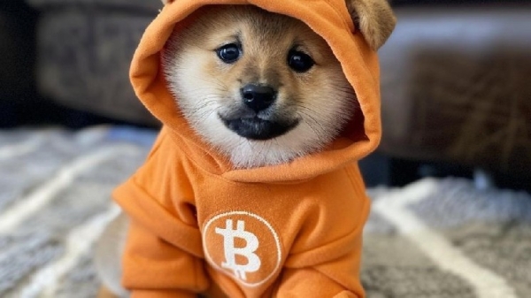 Bitcoin’s anti-spam fight gets a ‘DOG Mode’ reply