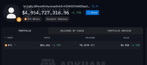 Inside the Top 12 Bitcoin Addresses: Who Holds 1.35 Million BTC